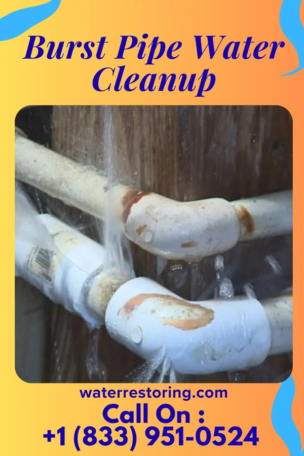 Burst Pipe Water Cleanup in Dwight, NE