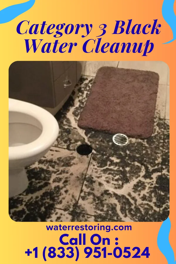 Category 3 Black Water Cleanup in Dwight, NE